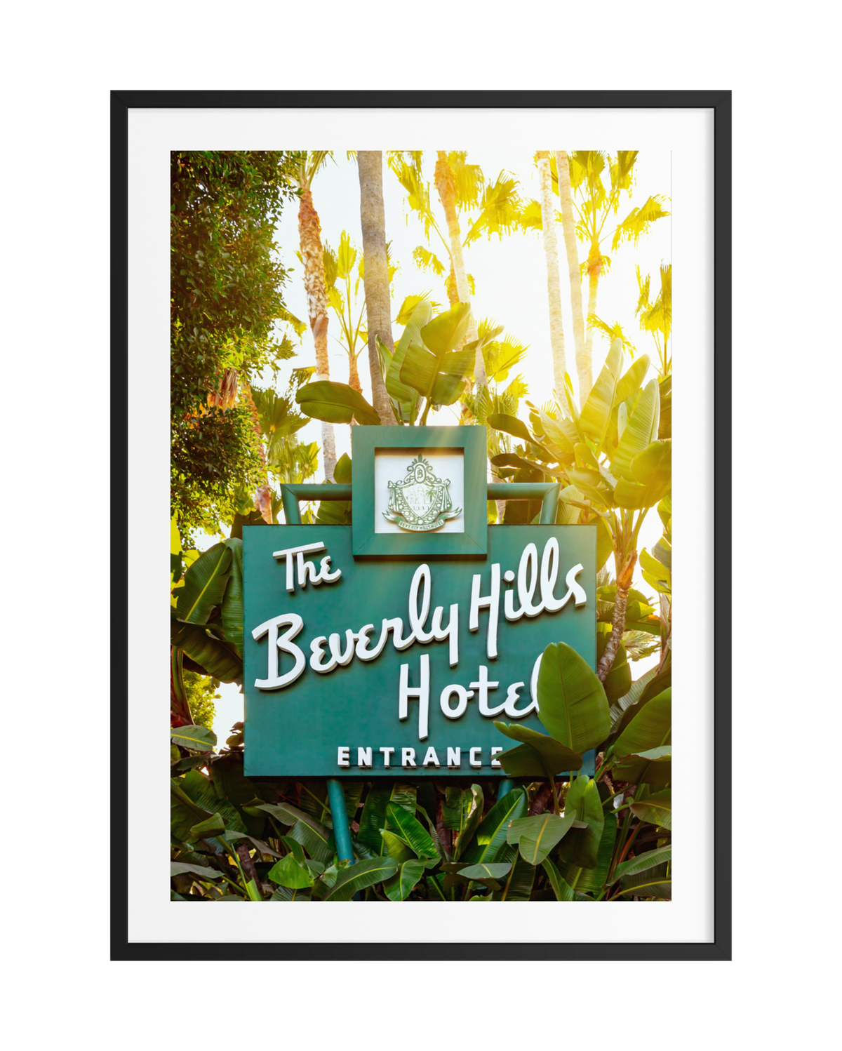 The Beverly Hills Hotel sign framed by palm trees in bright sunlight in Beverly Hills, California.