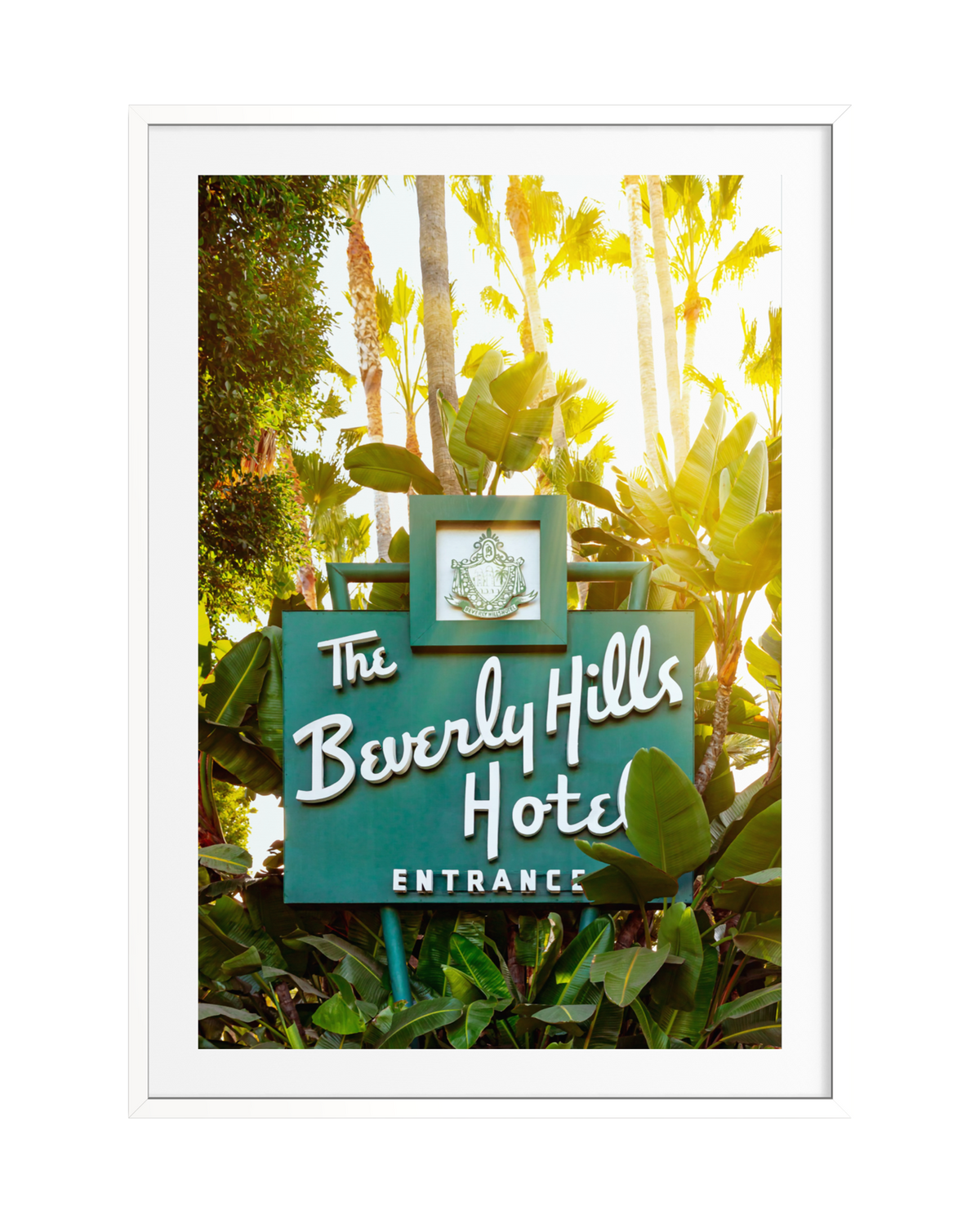 The Beverly Hills Hotel sign surrounded by palm trees and greenery in bright California sunlight.