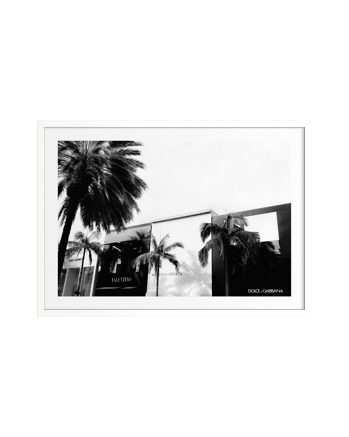 Black and white view of Beverly Hills storefronts and palm trees along a Los Angeles street.