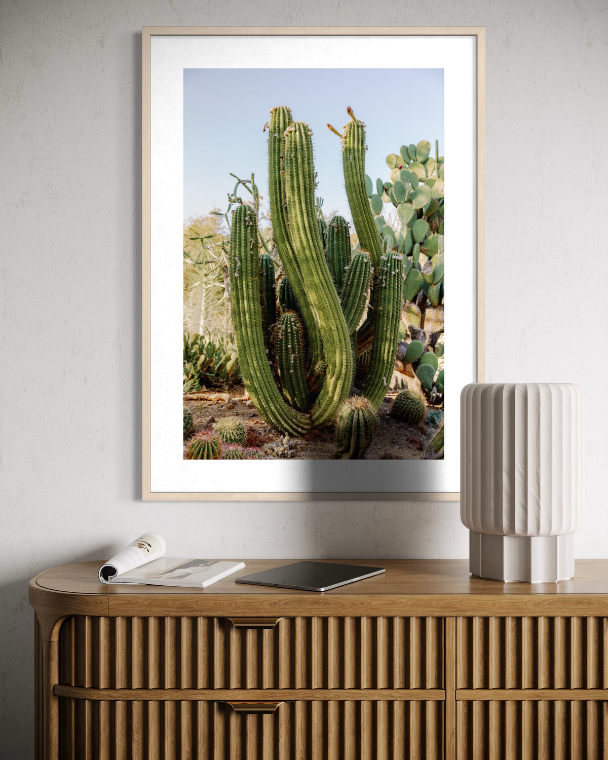 Framed print of an elephant cactus photographed in studio, displayed above a wood console with lamp and notes.
