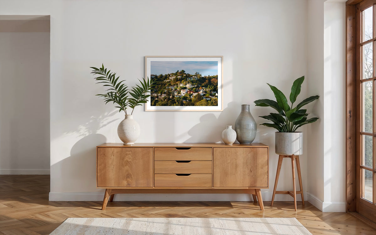 Sideboard with potted plants, vases, and framed art in a Los Angeles home interior.