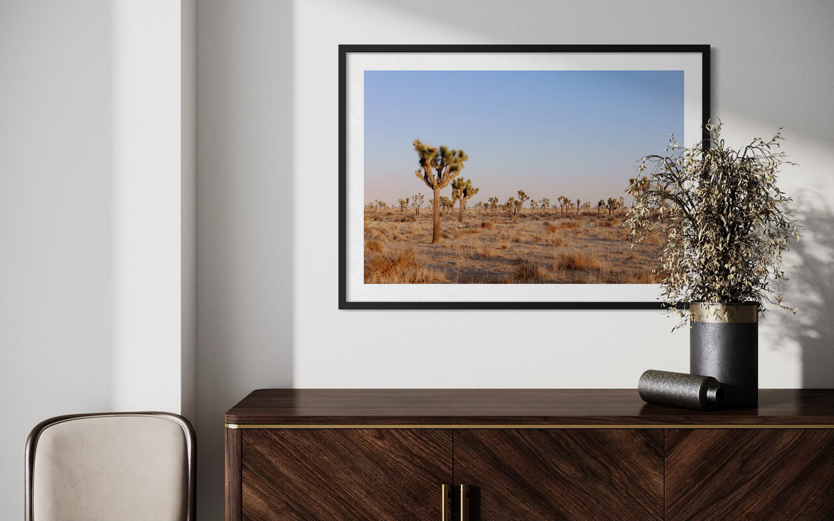 Framed Joshua Tree desert landscape print above wooden sideboard, with a dried plant in vase and chair nearby.