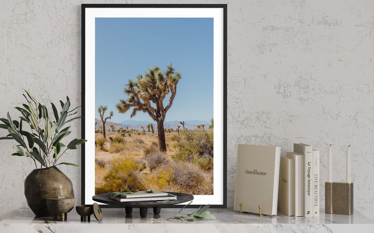 Framed Joshua Tree II photograph on a marble shelf with potted plants and stacked books.