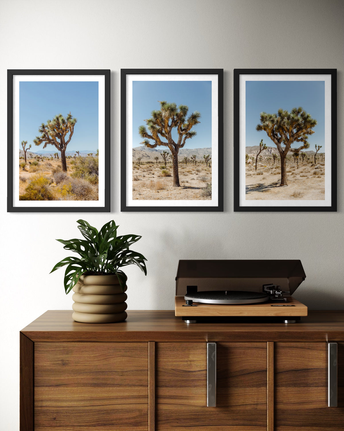 Framed Joshua Tree landscape photograph above a wooden console with potted plant and turntable.