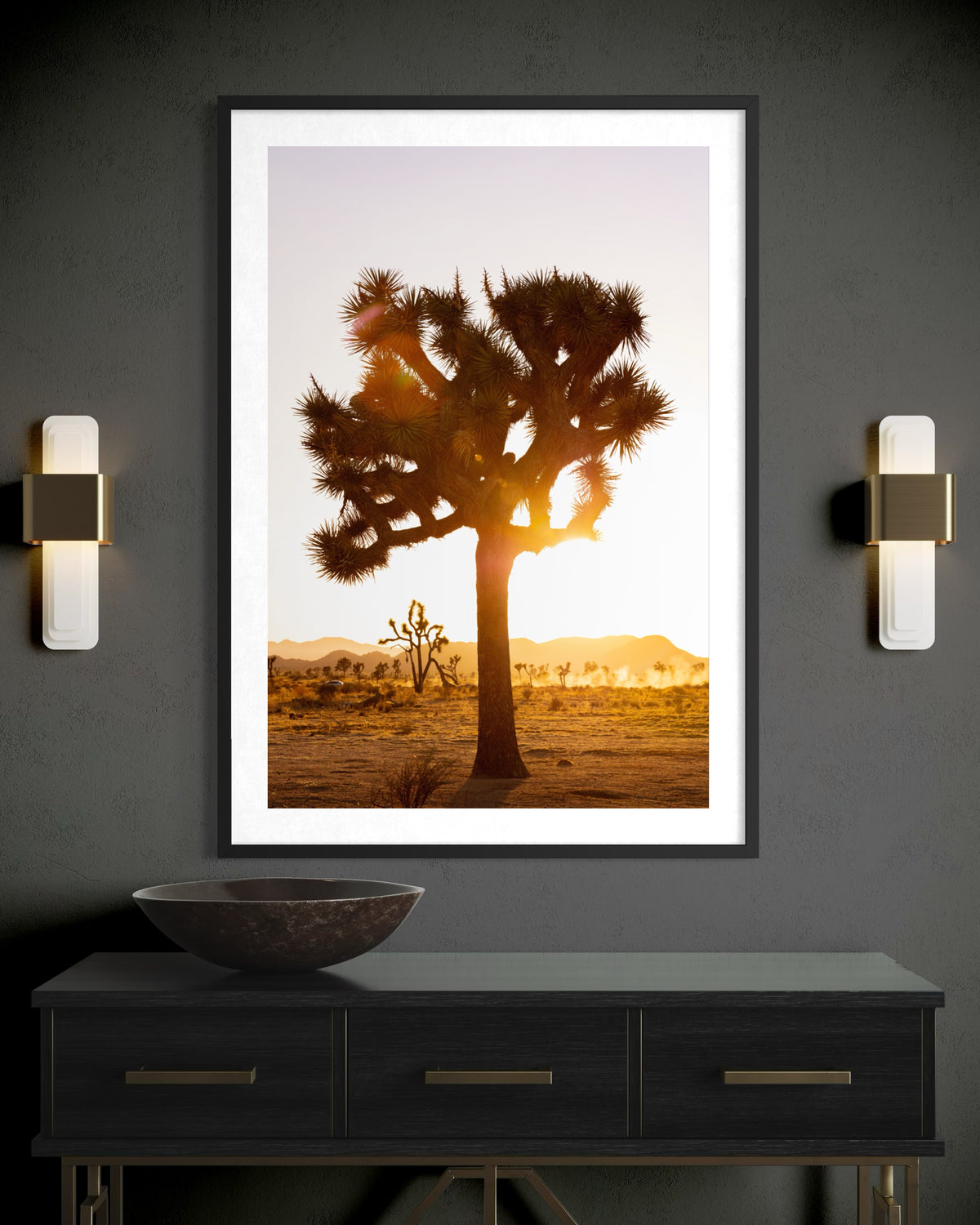 Joshua Tree Sunset