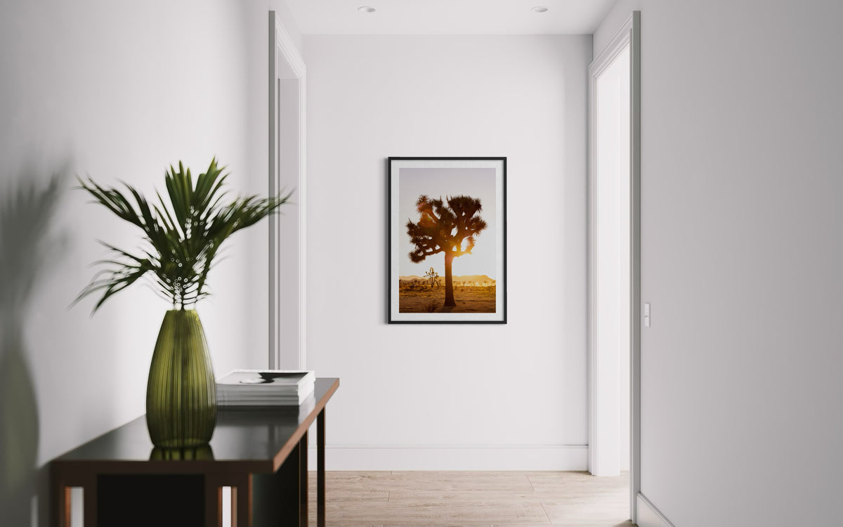 Framed “Joshua Tree Sunset” photo on a white wall above a green vase in a sunlit hallway.