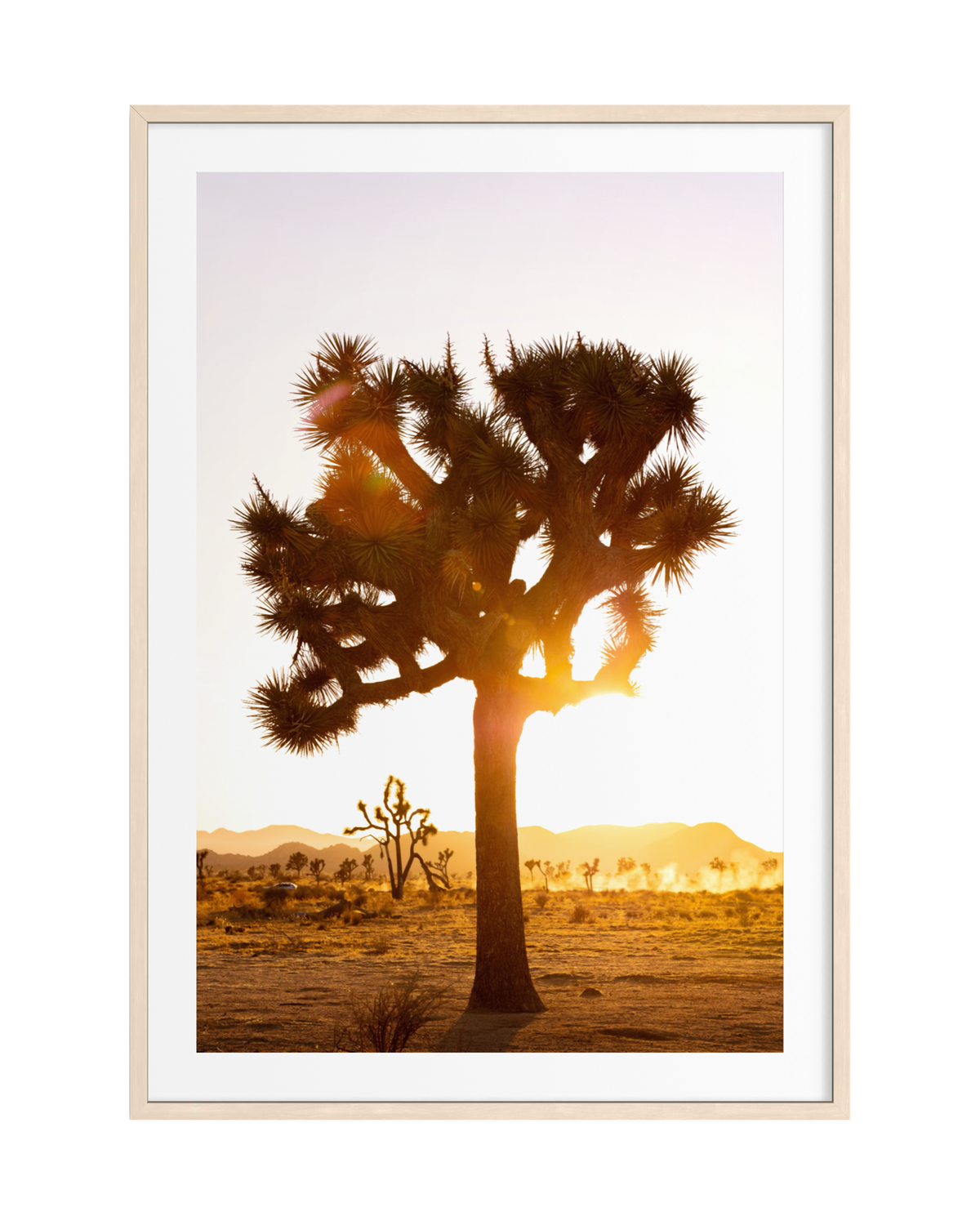 Silhouette of a Joshua tree at sunset in the desert, mountains visible in the distance at Joshua Tree National Park.