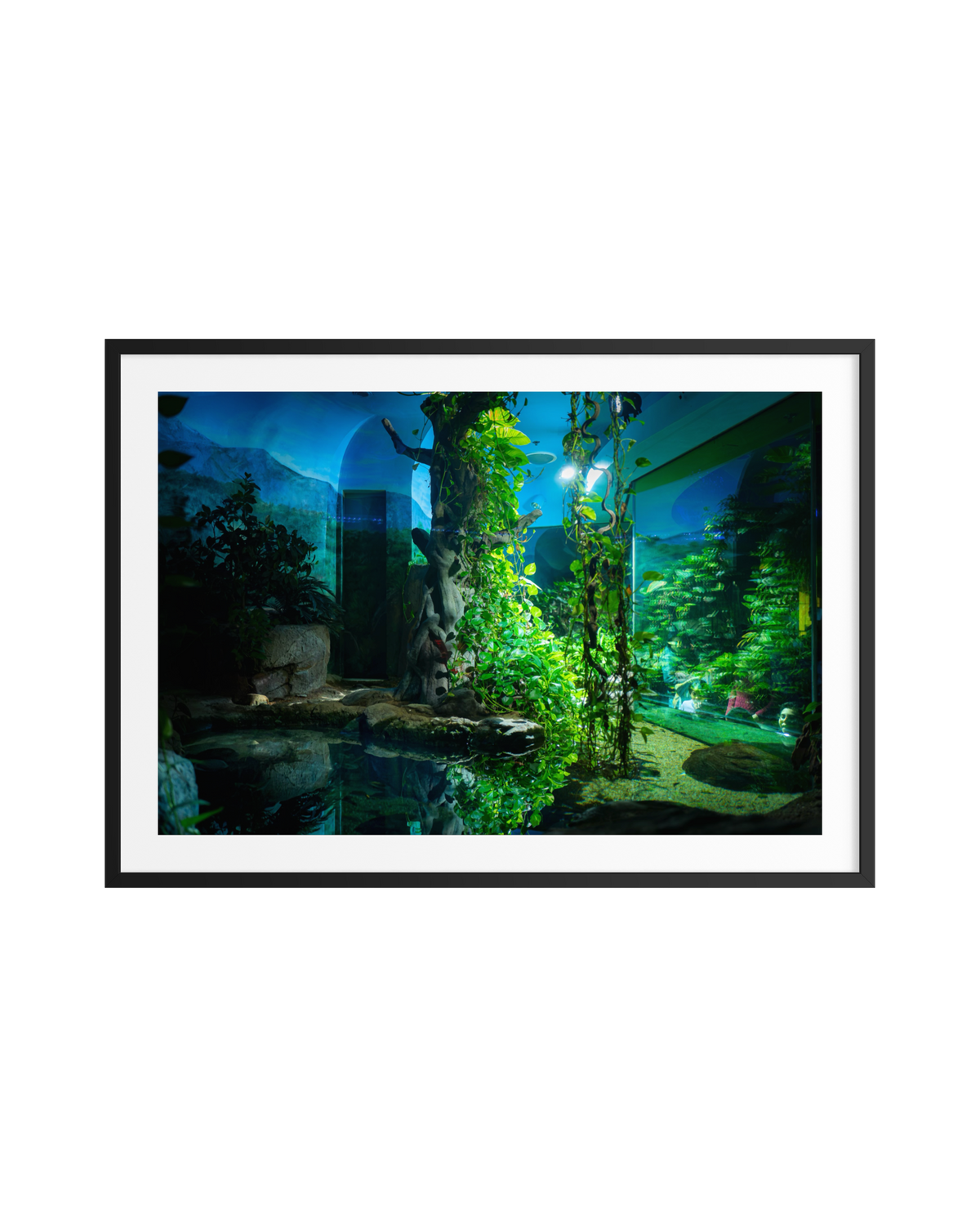 Aquarium with green plants, rocks, and bright lighting displayed in a white mat frame.