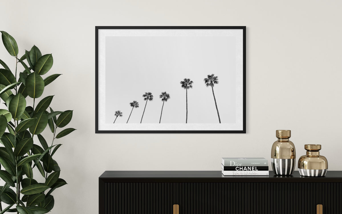 Black and white photograph of a tall palm tree, titled “Palm Rhythm,” taken above a modern console with decor.