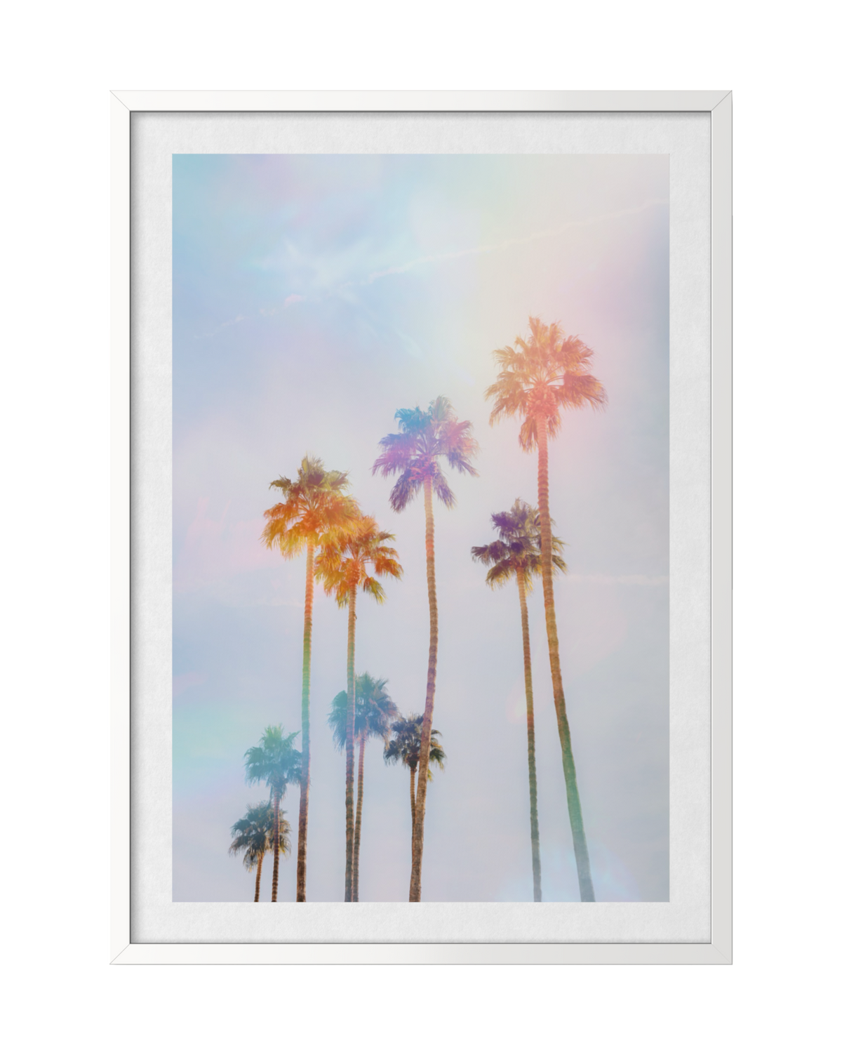 Tall palm trees in Palm Springs stand against a soft pastel sky; original photograph, not a mockup.