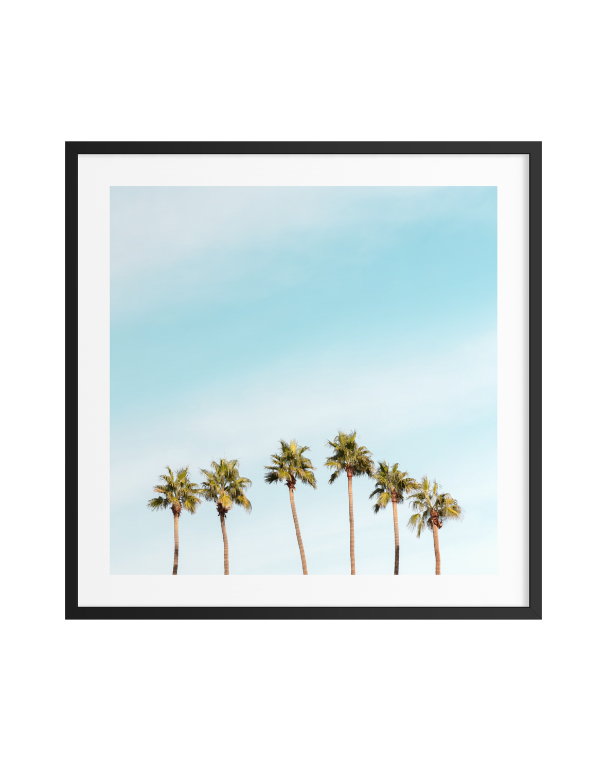 Tall palm trees reach into a clear blue sky, set in a black frame. Original photograph—no city specified.
