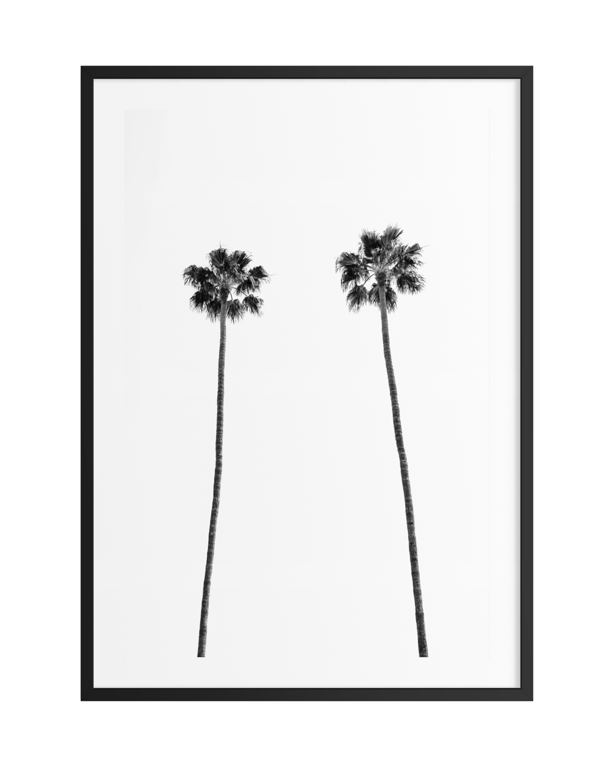 Two tall palm trees in black and white against a Los Angeles sky, displayed in a simple black frame.