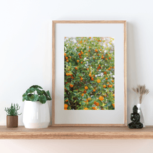 Load image into Gallery viewer, Wayne Ford Studio Photography Print Citrus Summer