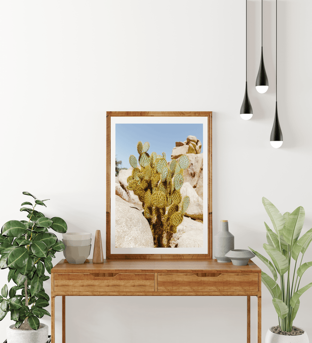 Wayne Ford Studio Photography Print Joshua Tree Cactus