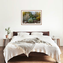 Load image into Gallery viewer, Wayne Ford Studio Photography Print Cactus Garden I