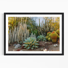 Load image into Gallery viewer, Wayne Ford Studio Photography Print Cactus Garden I

