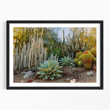 Load image into Gallery viewer, Wayne Ford Studio Photography Print Cactus Garden I