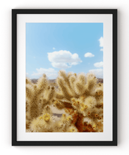 Load image into Gallery viewer, Wayne Ford Studio Photography Print Chola Cactus