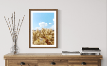 Load image into Gallery viewer, Wayne Ford Studio Photography Print Chola Cactus