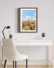 Load image into Gallery viewer, Wayne Ford Studio Photography Print Chola Cactus