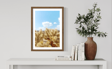 Load image into Gallery viewer, Wayne Ford Studio Photography Print Chola Cactus