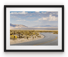 Load image into Gallery viewer, Wayne Ford Studio Photography Print Chola Cactus Road