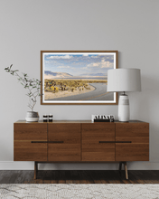 Load image into Gallery viewer, Wayne Ford Studio Photography Print Chola Cactus Road