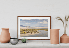 Load image into Gallery viewer, Wayne Ford Studio Photography Print Chola Cactus Road