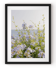 Load image into Gallery viewer, Wayne Ford Studio Photography Print Coastal Flowers