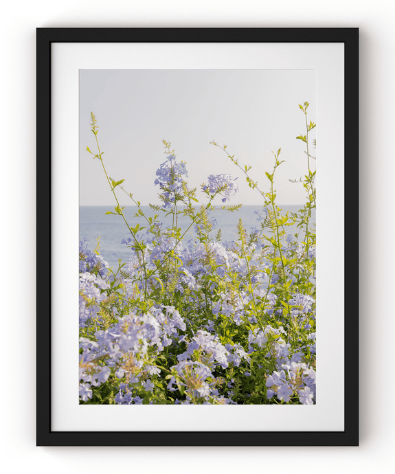 Wayne Ford Studio Photography Print Coastal Flowers