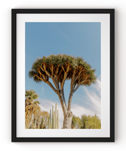 Load image into Gallery viewer, Wayne Ford Studio Photography Print Dragon Tree