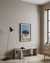 Load image into Gallery viewer, Wayne Ford Studio Photography Print Dragon Tree