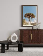 Load image into Gallery viewer, Wayne Ford Studio Photography Print Dragon Tree