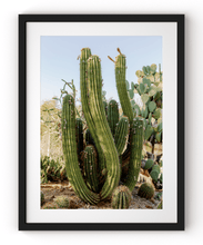 Load image into Gallery viewer, Wayne Ford Studio Photography Print Elephant Cactus