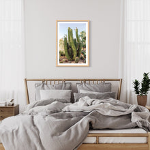 Load image into Gallery viewer, Wayne Ford Studio Photography Print Elephant Cactus