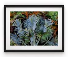 Load image into Gallery viewer, Wayne Ford Studio Photography Print Footstool Palm
