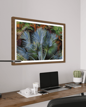 Load image into Gallery viewer, Wayne Ford Studio Photography Print Footstool Palm
