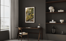 Load image into Gallery viewer, Wayne Ford Studio Photography Print Golden Barrel Cactus