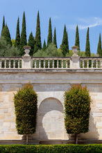 Load image into Gallery viewer, Wayne Ford Studio Photography Print Greystone Mansion Moment