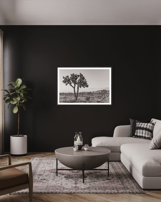 Wayne Ford Studio Photography Print Joshua Tree Black & White