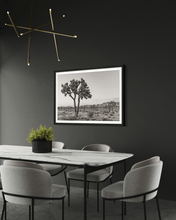 Load image into Gallery viewer, Wayne Ford Studio Photography Print Joshua Tree Black & White