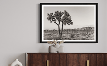 Load image into Gallery viewer, Wayne Ford Studio Photography Print Joshua Tree Black & White