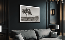 Load image into Gallery viewer, Wayne Ford Studio Photography Print Joshua Tree Black & White
