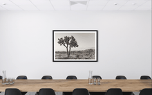 Load image into Gallery viewer, Wayne Ford Studio Photography Print Joshua Tree Black & White