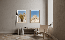 Load image into Gallery viewer, Wayne Ford Studio Photography Print Joshua Tree Cactus