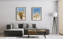 Load image into Gallery viewer, Wayne Ford Studio Photography Print Joshua Tree Cactus