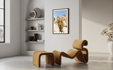 Load image into Gallery viewer, Wayne Ford Studio Photography Print Joshua Tree Cactus