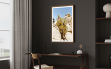 Load image into Gallery viewer, Wayne Ford Studio Photography Print Joshua Tree Cactus
