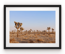 Load image into Gallery viewer, Wayne Ford Studio Photography Print Joshua Tree Evening