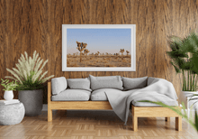 Load image into Gallery viewer, Wayne Ford Studio Photography Print Joshua Tree Evening